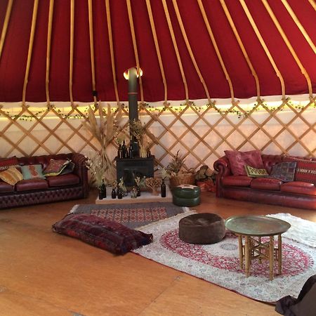 Silver Airstream Glamping & Rental Chichester Exteriér fotografie